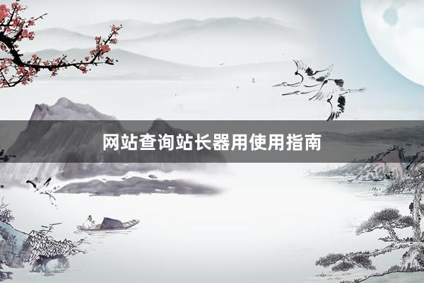 网站查询站长器用使用指南
