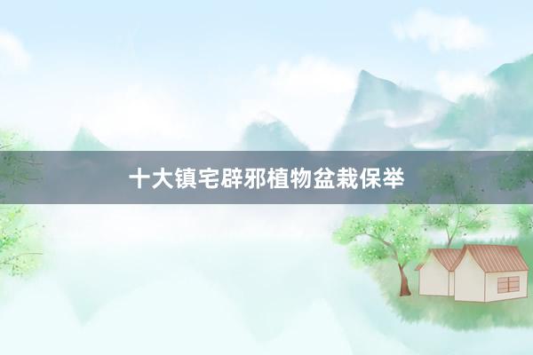 十大镇宅辟邪植物盆栽保举